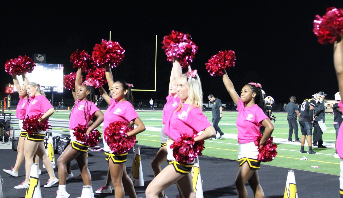 Dragon Varsity Cheerleaders on the sideline during Fridays Pink Out game against the Mt. Pleasant Tigers.