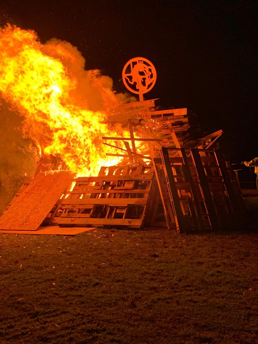 SPARKS FLY, SPIRIT SOARS The NISD emblem is still visible during the bonfire for the NHS class of 2020.  Photo courtesy of Roya Dinbali